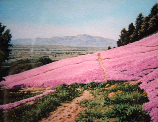芝桜の丘～美唄光珠内暑寒別岳を望む～